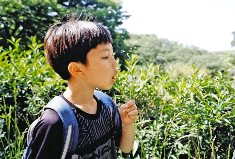 写真