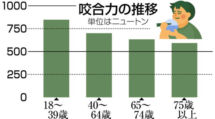 グラフ　咬合力の推移