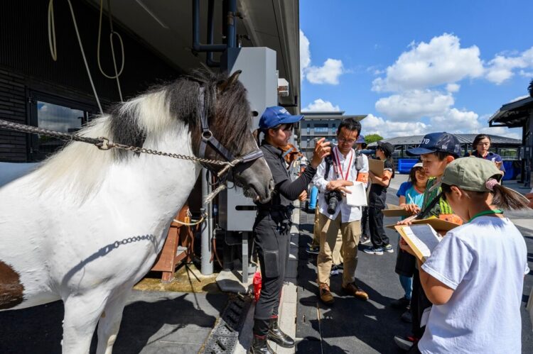 馬のブラッシング方法を教えてもらう様子