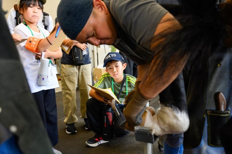 装蹄師の仕事を見学するこども記者の写真