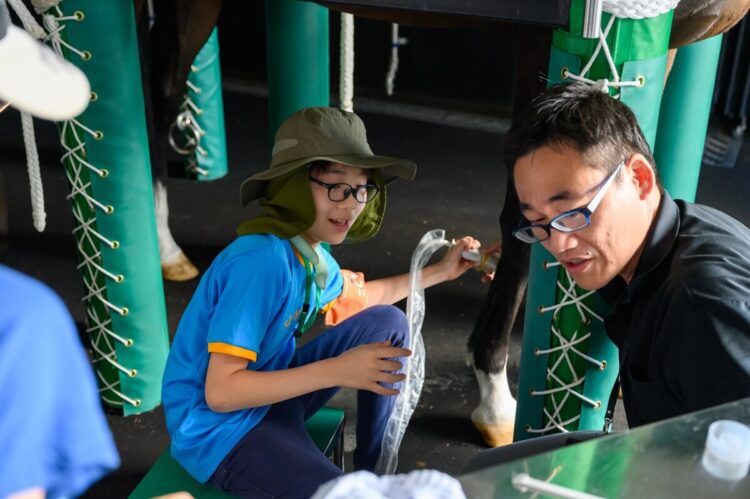 馬のエコー検査を体験するこども記者の写真