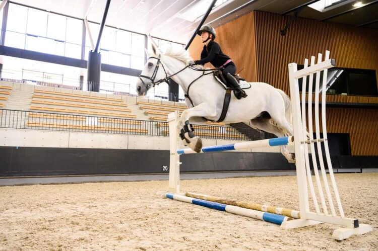 障害馬術ショーの様子