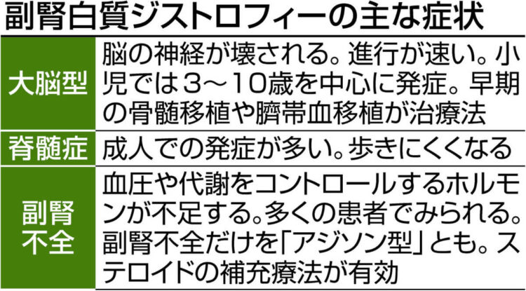 図表：副腎白質ジストロフィー（ALD）の主な症状