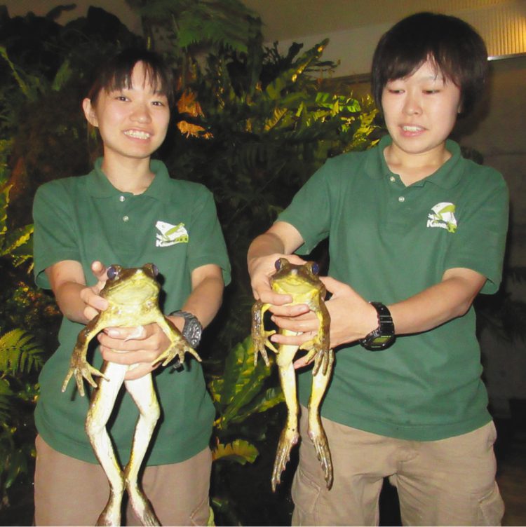 カエル専門！静岡に国内最大の展示施設オープン | 東京すくすく