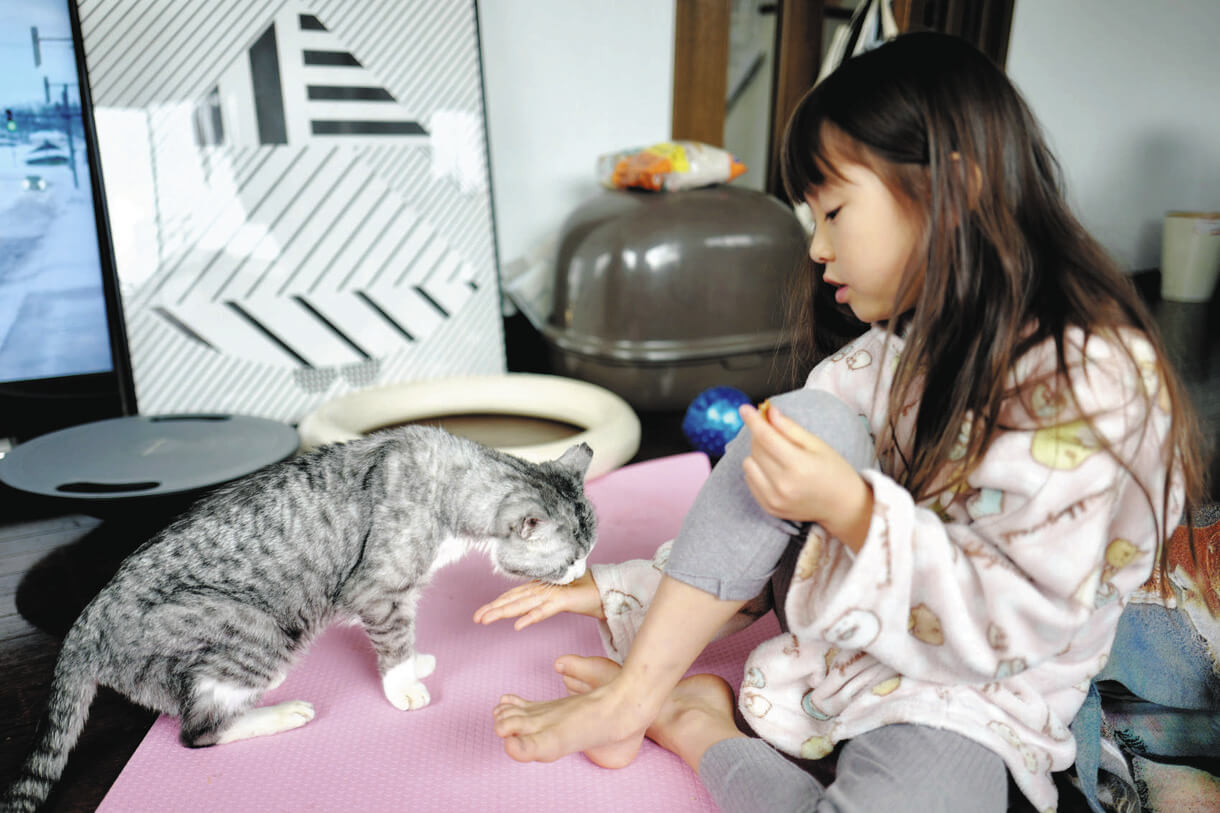 あなたが私に語ること猫と心通わせる少女が出会った物語 2/少年画報社  