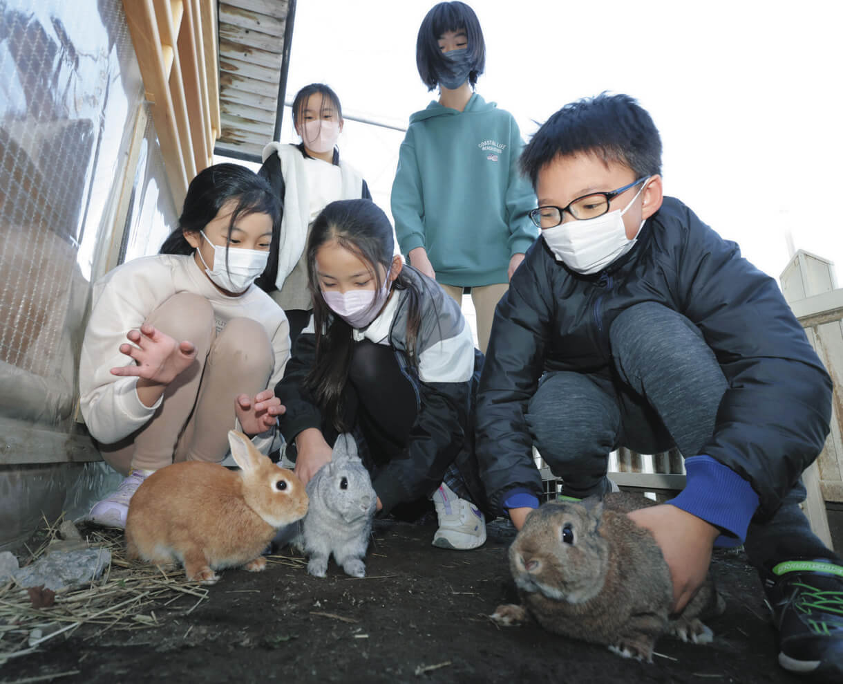 ペットを飼うことすら許されない 単身赴任