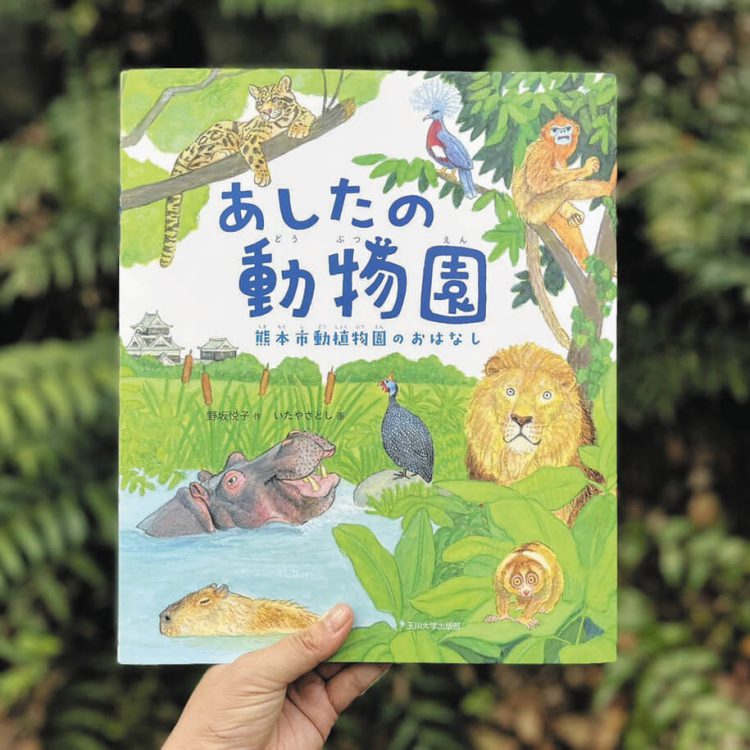 写真　絵本「あしたの動物園　熊本市動植物園のおはなし」