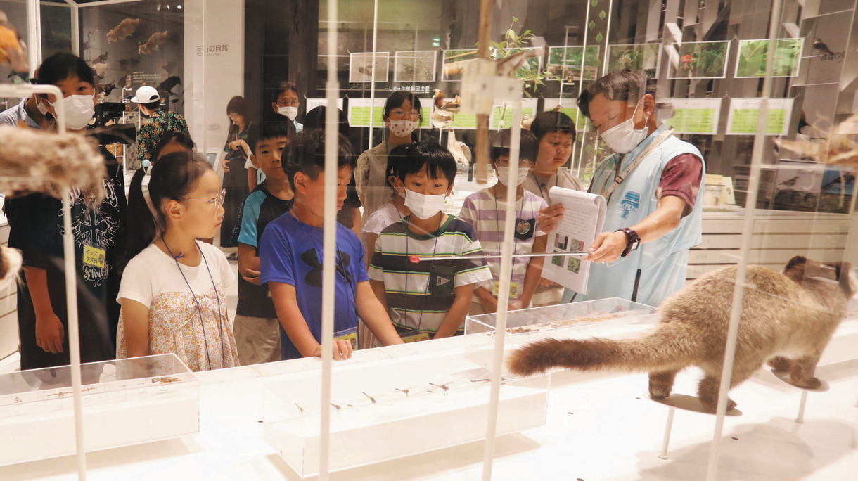 東京にある科学館 コレクション 宙ジュエリー