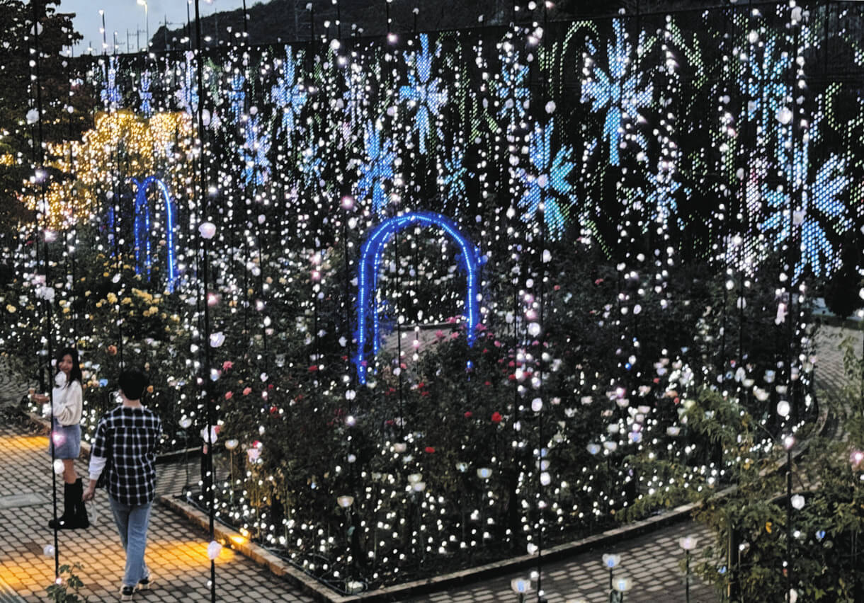 あしかがフラワーパークで「光の花の庭」始まる 500万球超の幻想的な