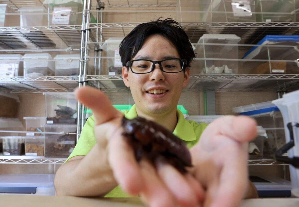 jc 生理　逆さ撮り 「みんな意外にゴキブリが好きなんじゃ…」 日本一充実した展示の仕掛け人 ゴキブリスト・柳沢さんに聞く存在意義 | 東京すくすく