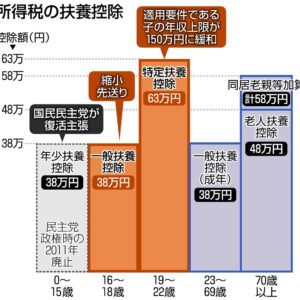 グラフ所得の扶養控除