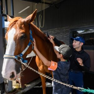 馬のブラッシングを体験する様子