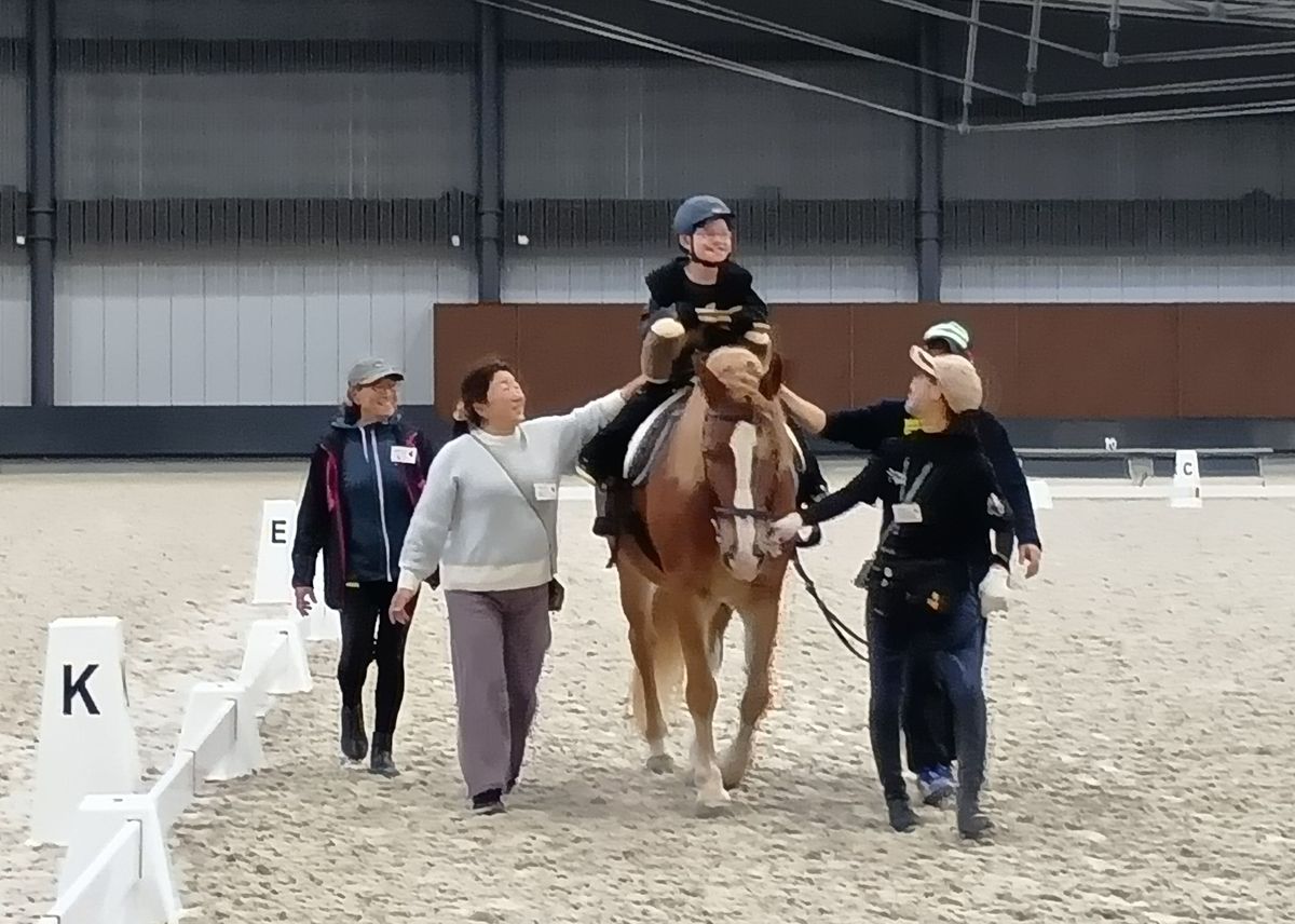 馬術　総合鞍 障害鞍 総合鞍 | 格安 馬具 アウトレット 中古鞍 乗馬用品 カケハム